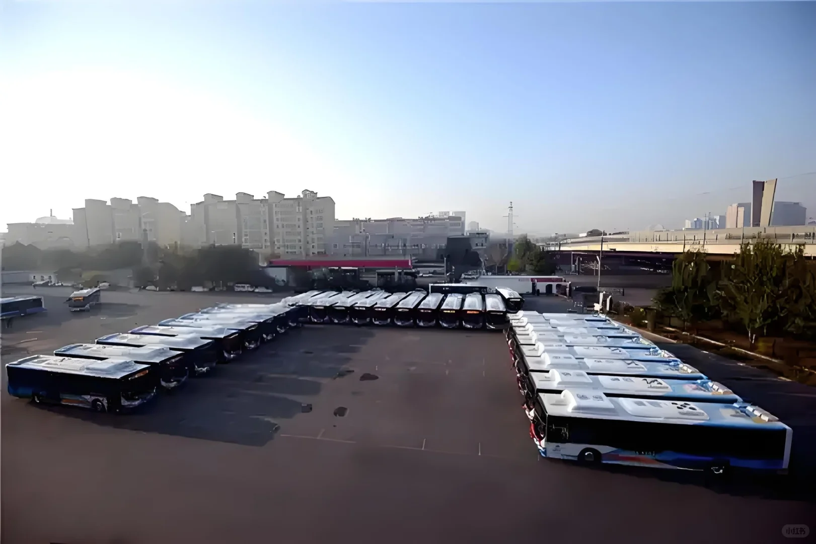 客运集团工作，这些好处太哇塞🎉