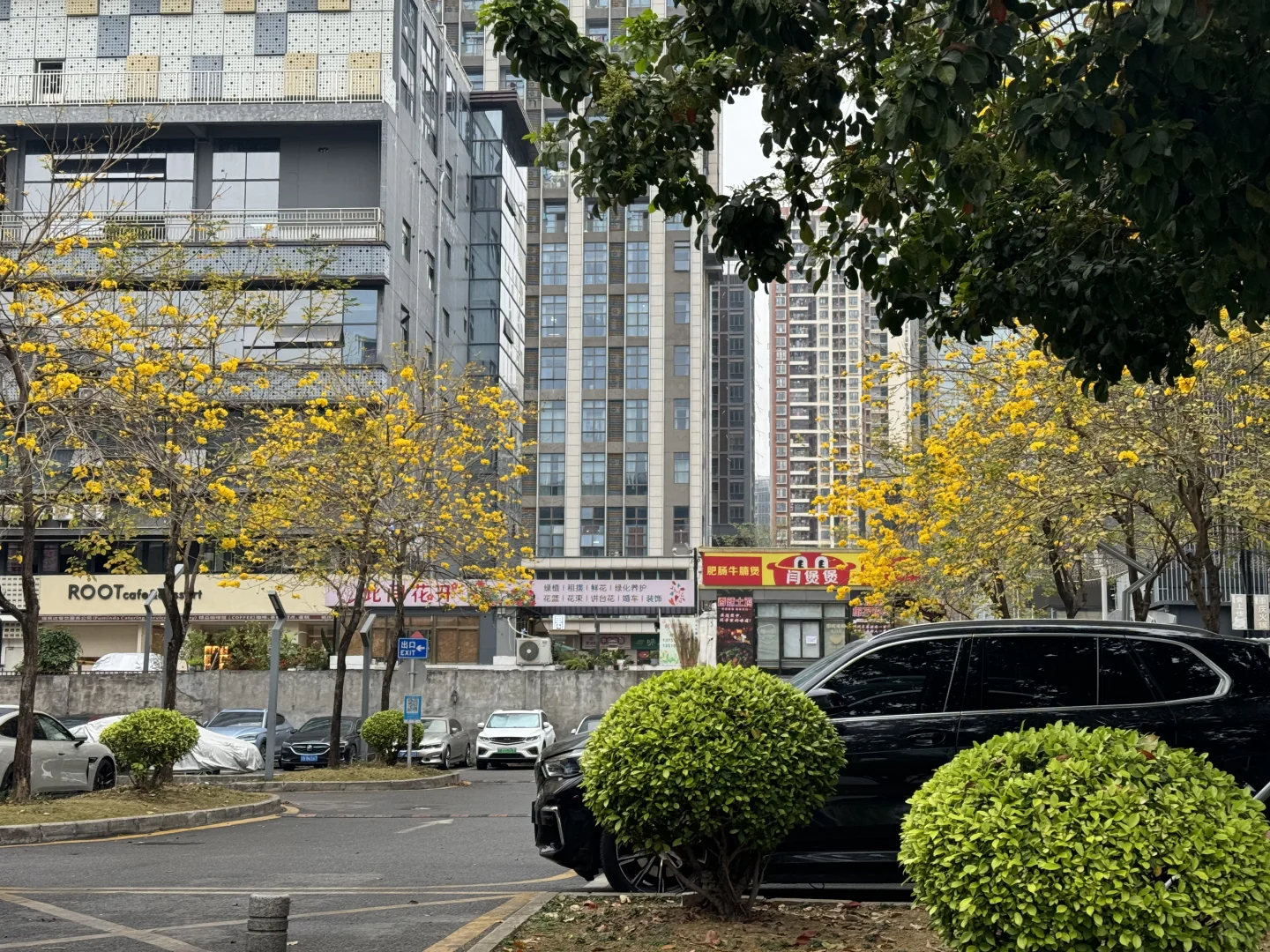 深圳找电商工作的请避雷此公司❌