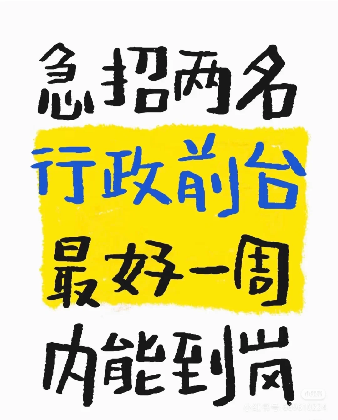 急招！!！急招人事一名!！！！