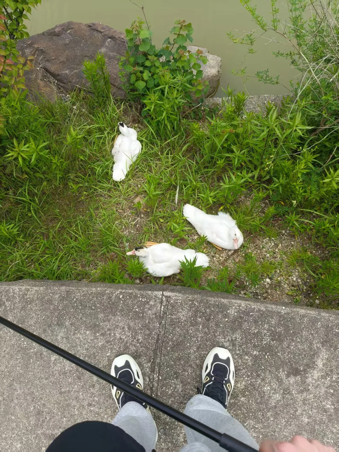 浙江海洋大学