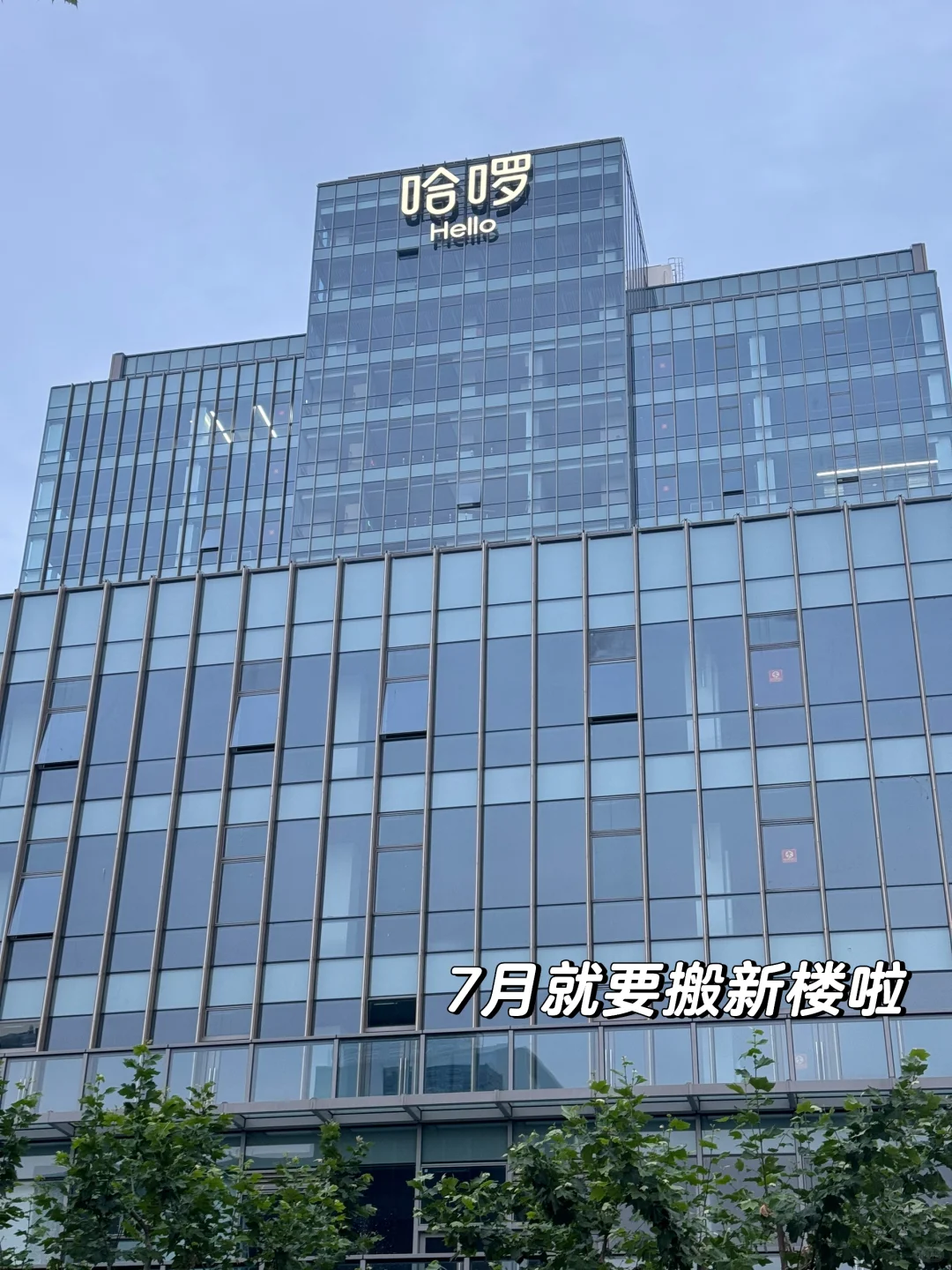 🇬🇧留子回国实习｜在哈啰一周啦