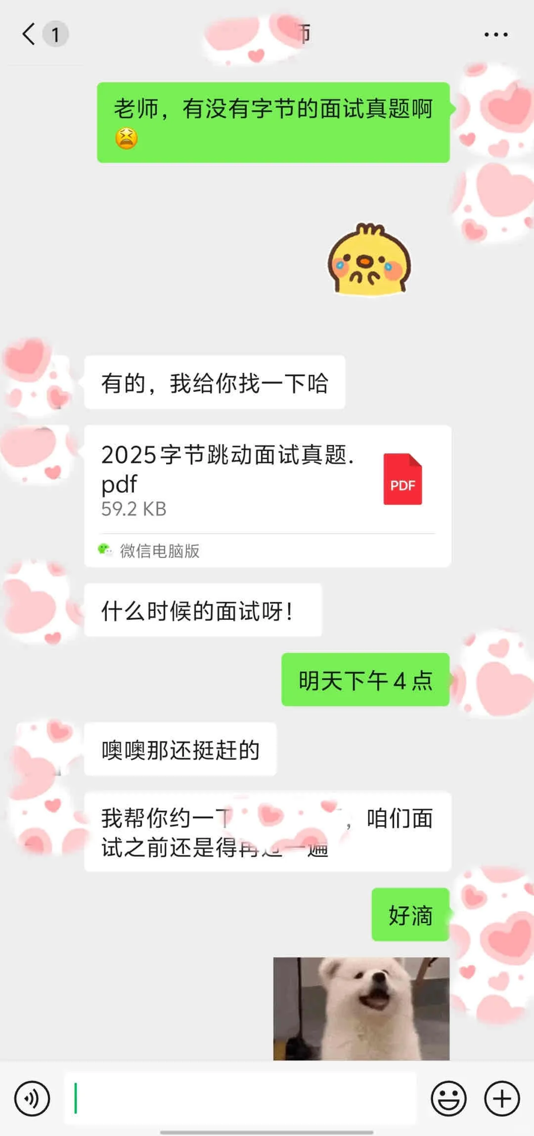 关于我报了求职机构上岸后，大家都在问的