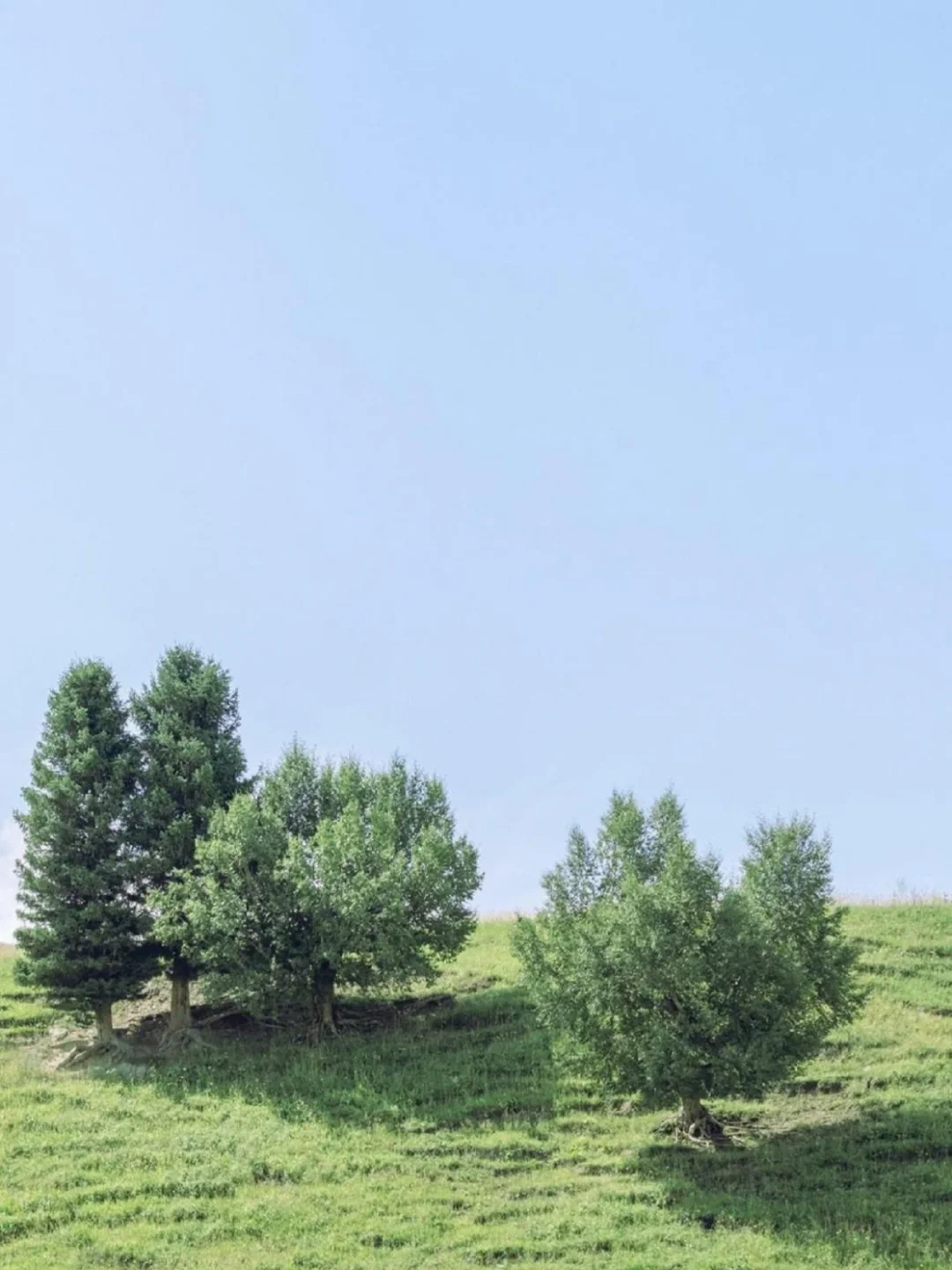 在BOSS上找工作，一定要小心这几点。