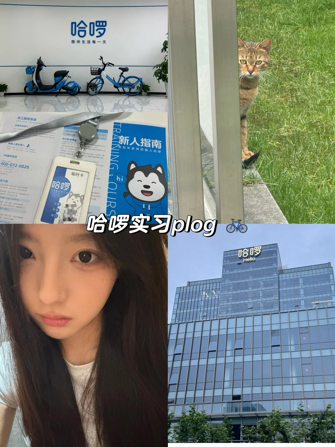 🇬🇧留子回国实习｜在哈啰一周啦