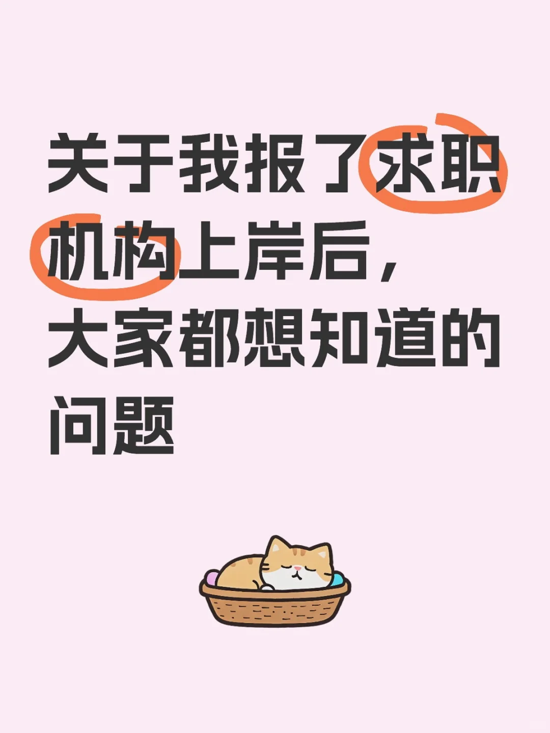 关于我报了求职机构上岸后，大家都在问的