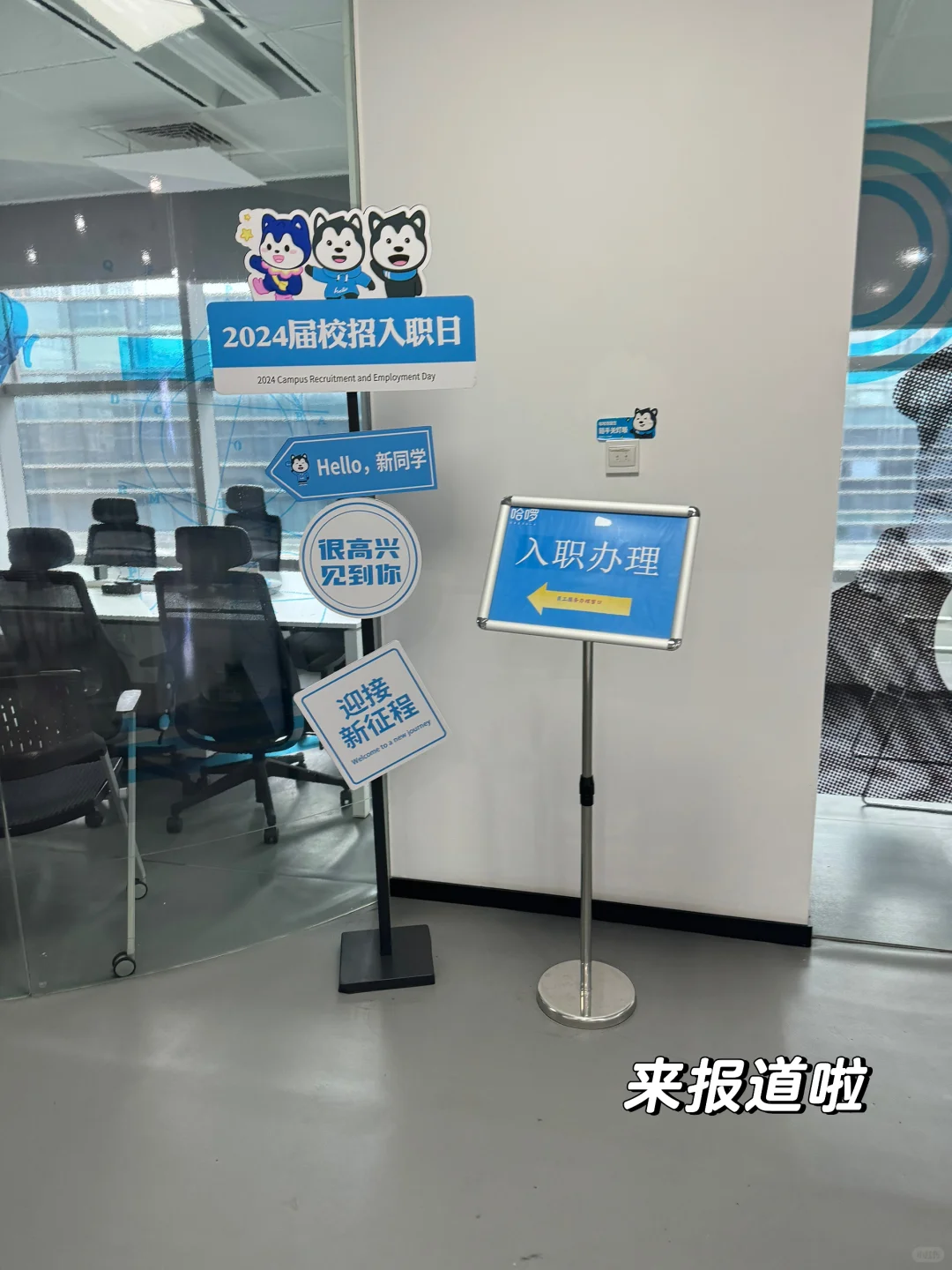 🇬🇧留子回国实习｜在哈啰一周啦