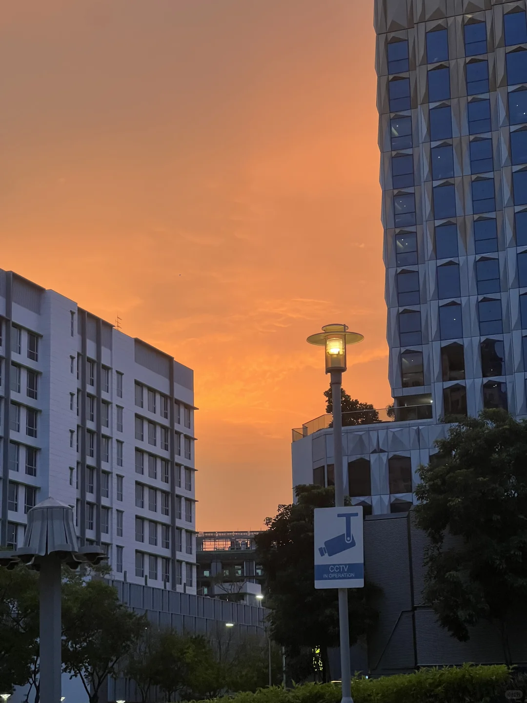 想要在🇸🇬注册公司的👀过来
