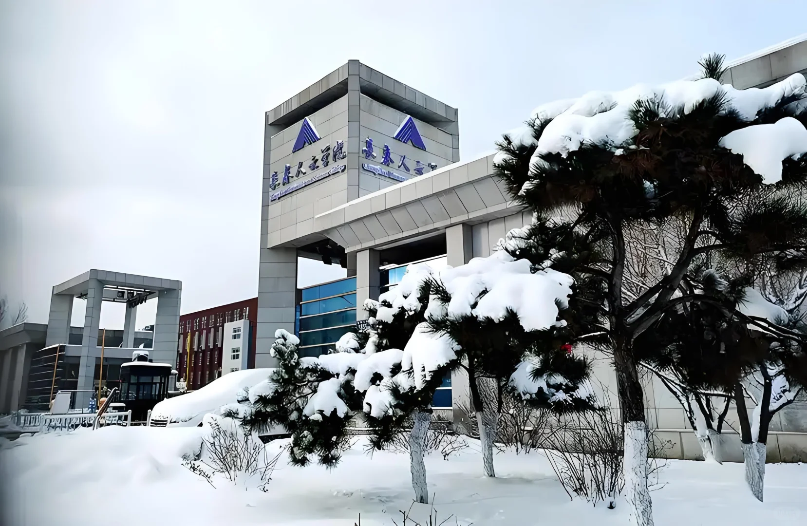 某本科大学 导员、文职