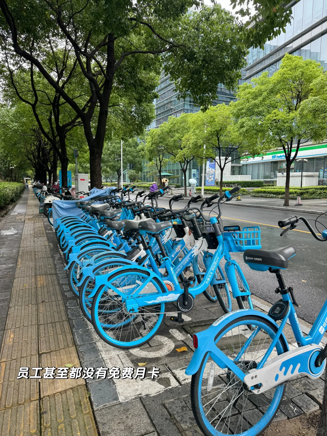 🇬🇧留子回国实习｜在哈啰一周啦