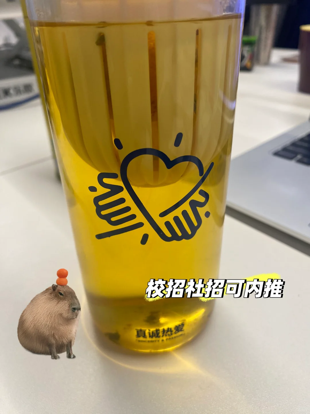 小米各部门都有招聘需求