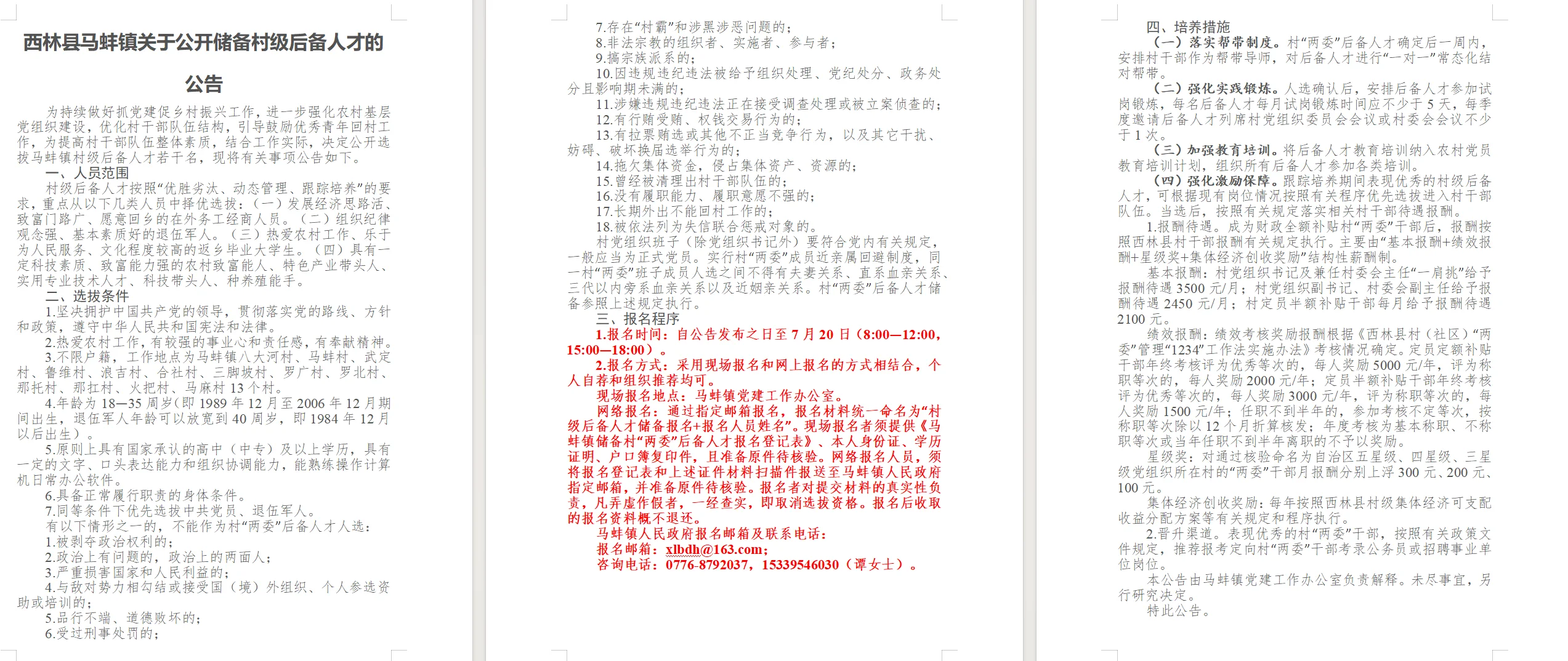 百色市西林县马蚌镇公开储备村级后备人才