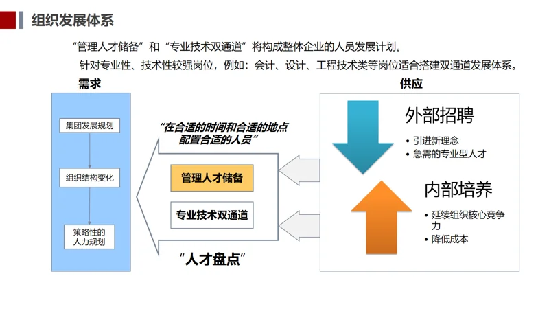 集团人才储备方案及培养计划