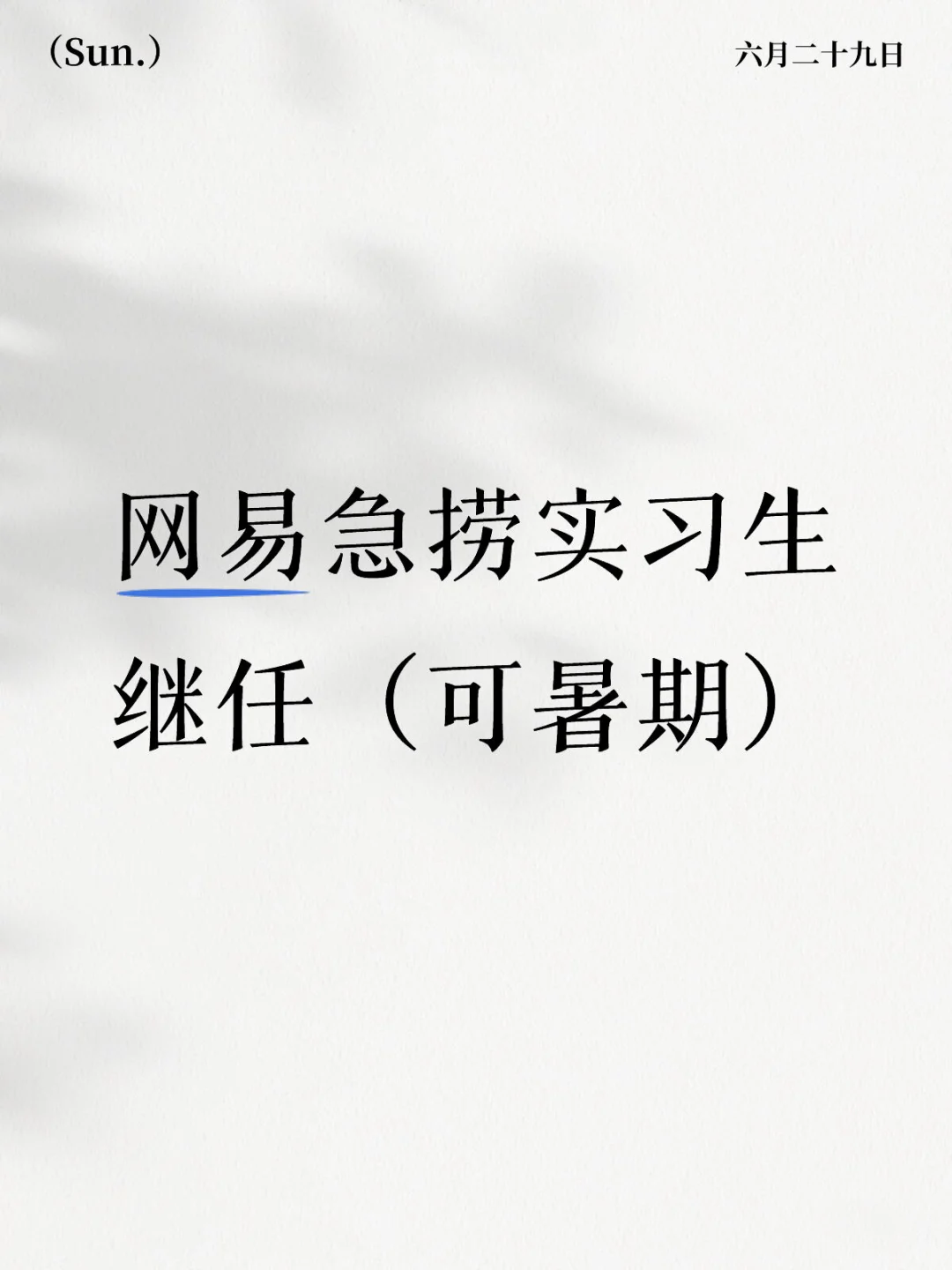 网易急捞实习生继任（可暑期）