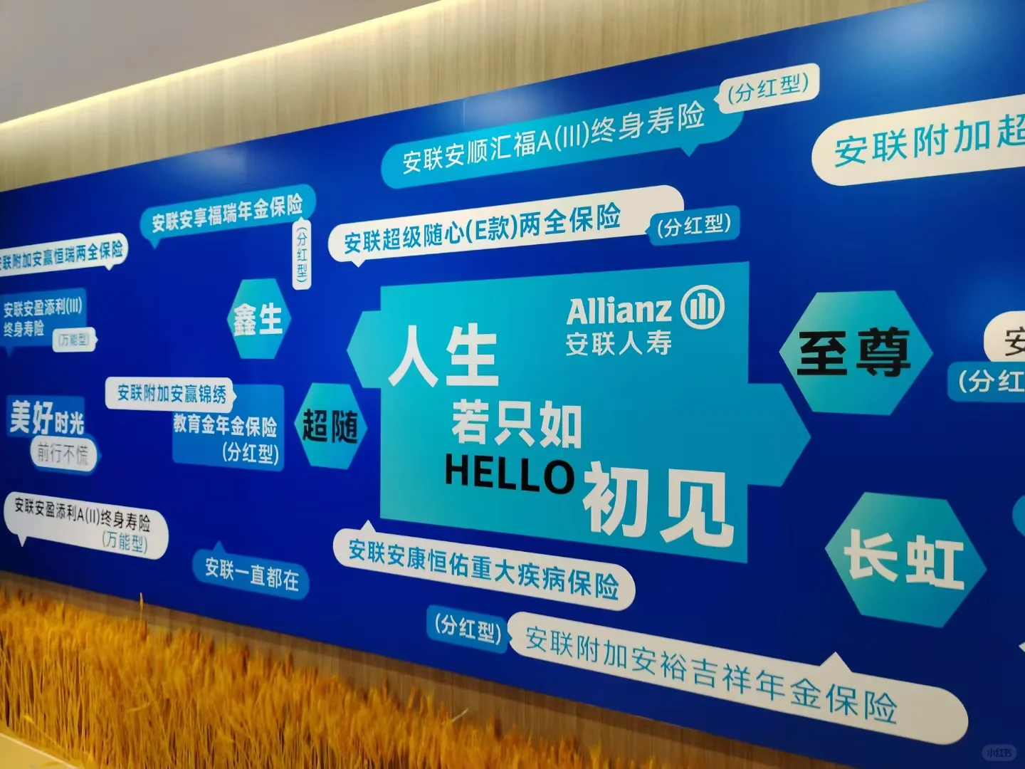 找工作避雷，拒绝加班外企/招聘/双休！