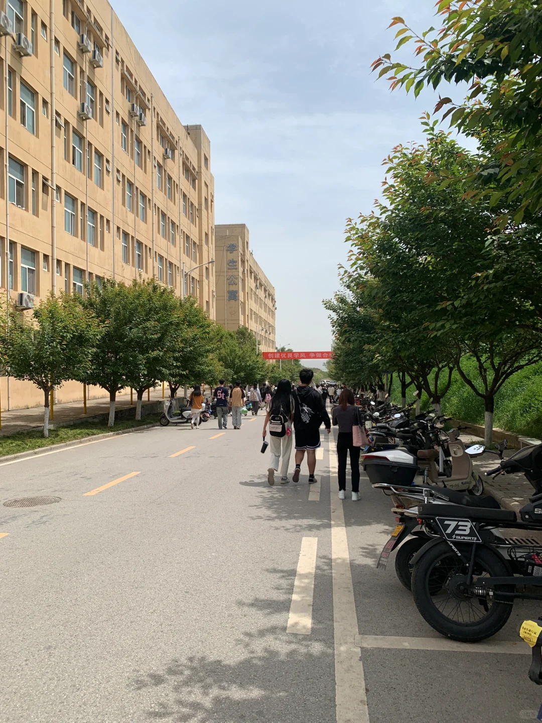 学校储备老师啦