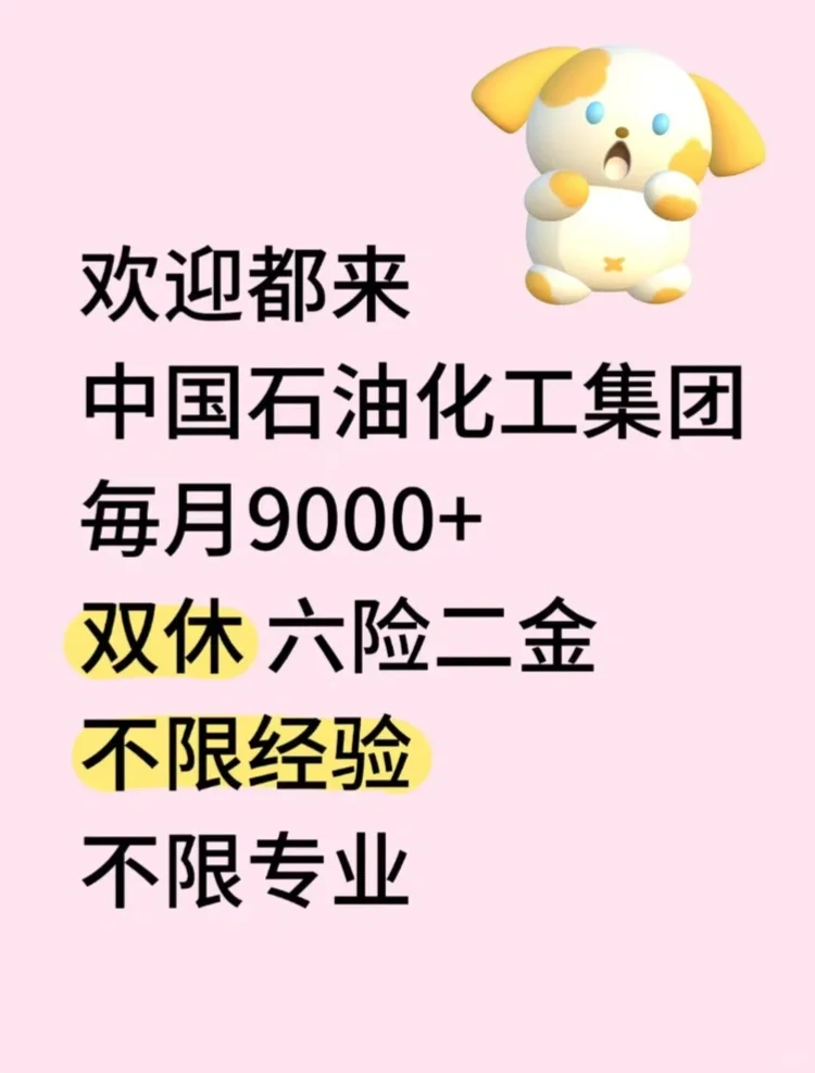 急招贤才！投就对！！！ 急招贤才！投就对！！！