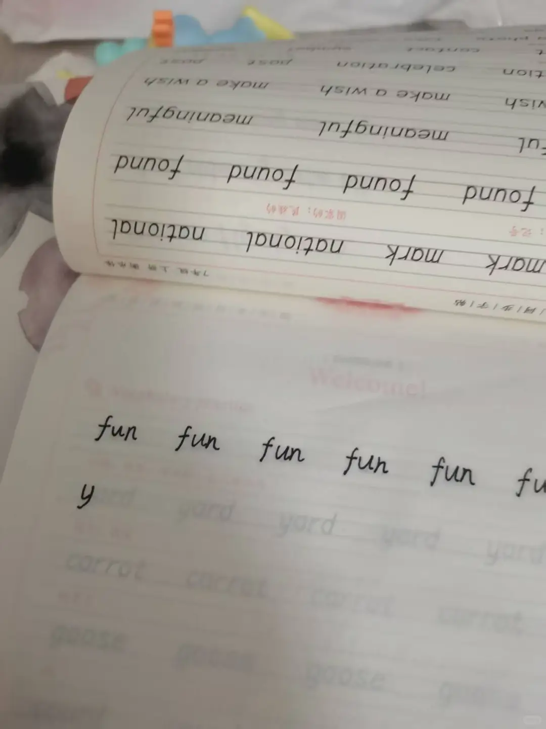 招写字能手