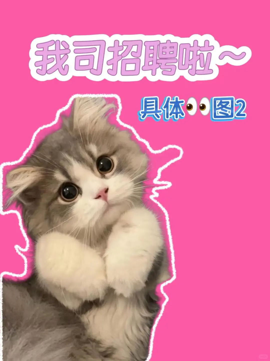 宠物公司招聘啦！