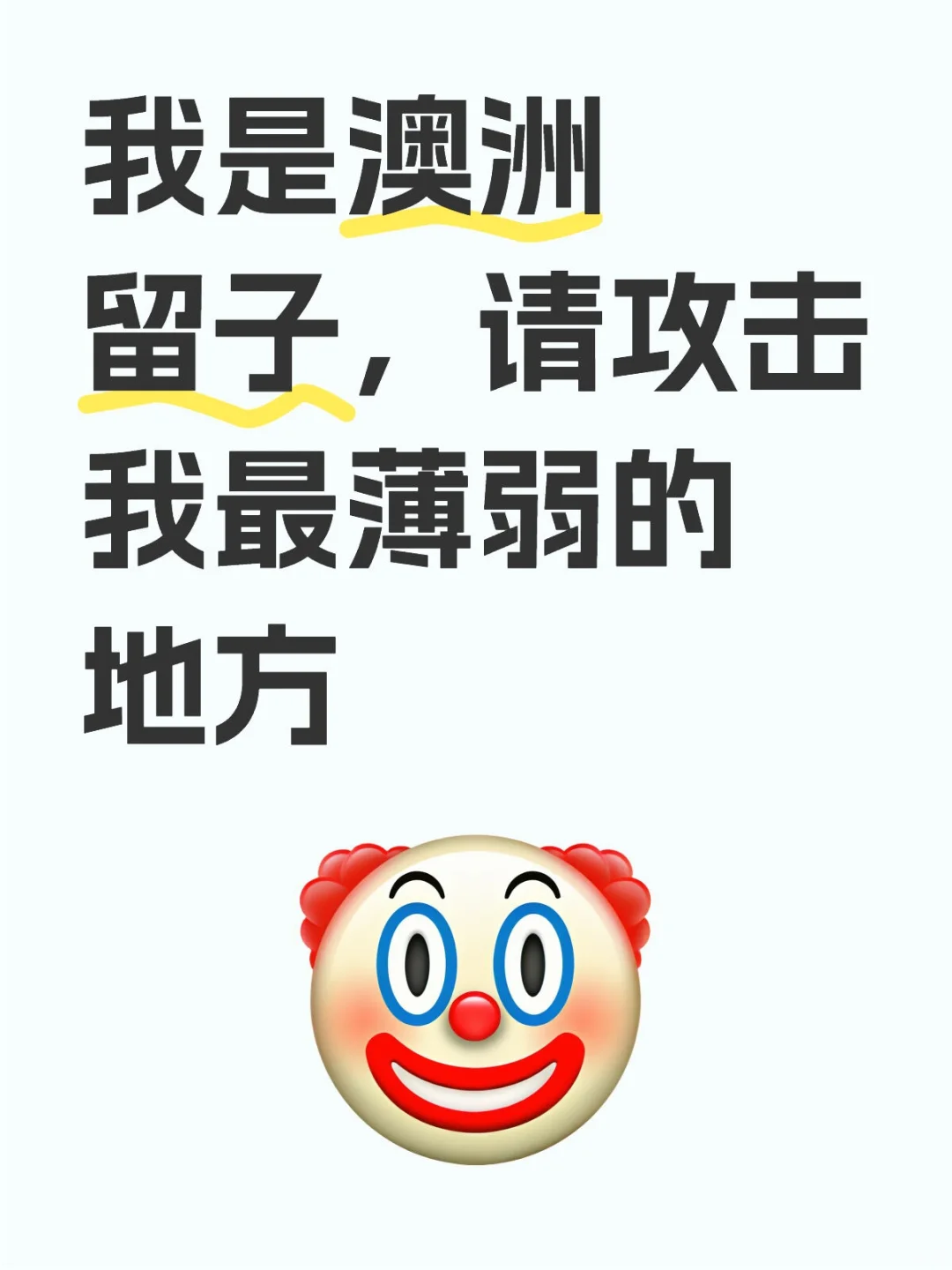 我是澳洲留子，请攻击我最薄弱的地方