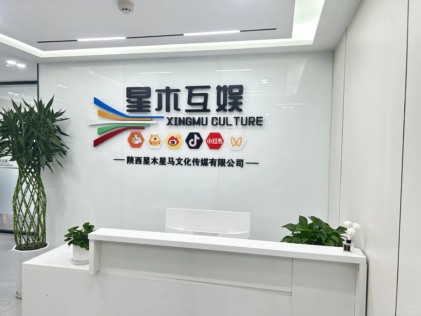 貌美如花的前台