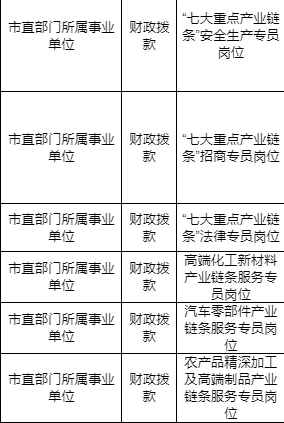 只面试‼️不笔试