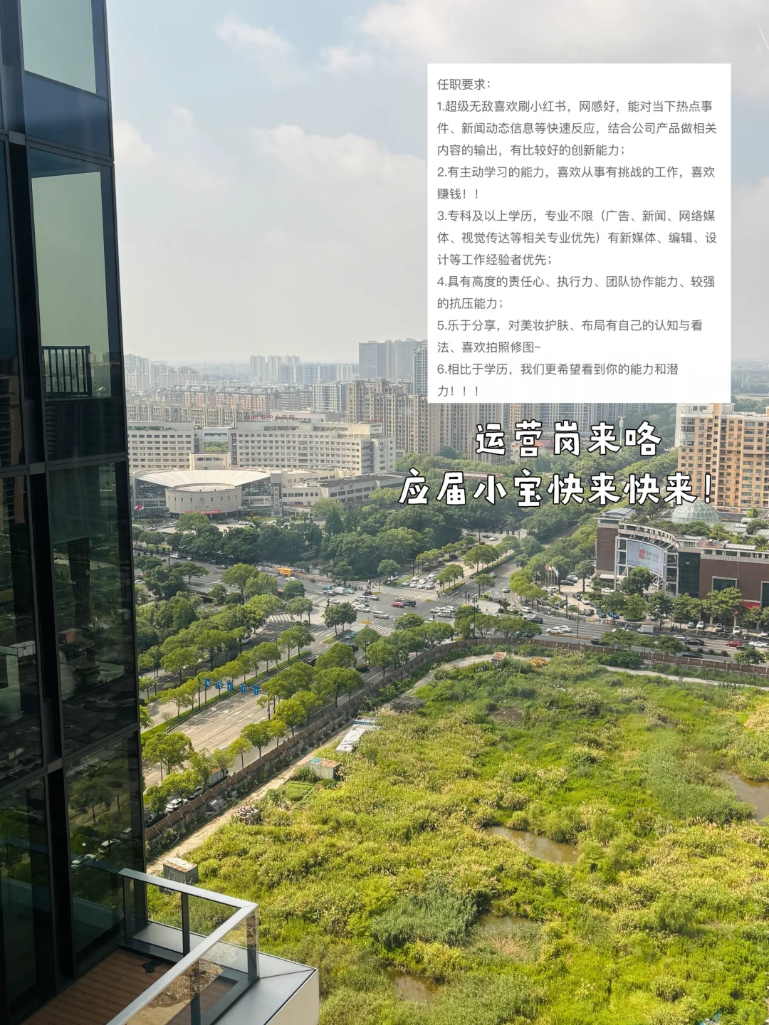 应届请来丨小有名气的新媒体公司招人啦！