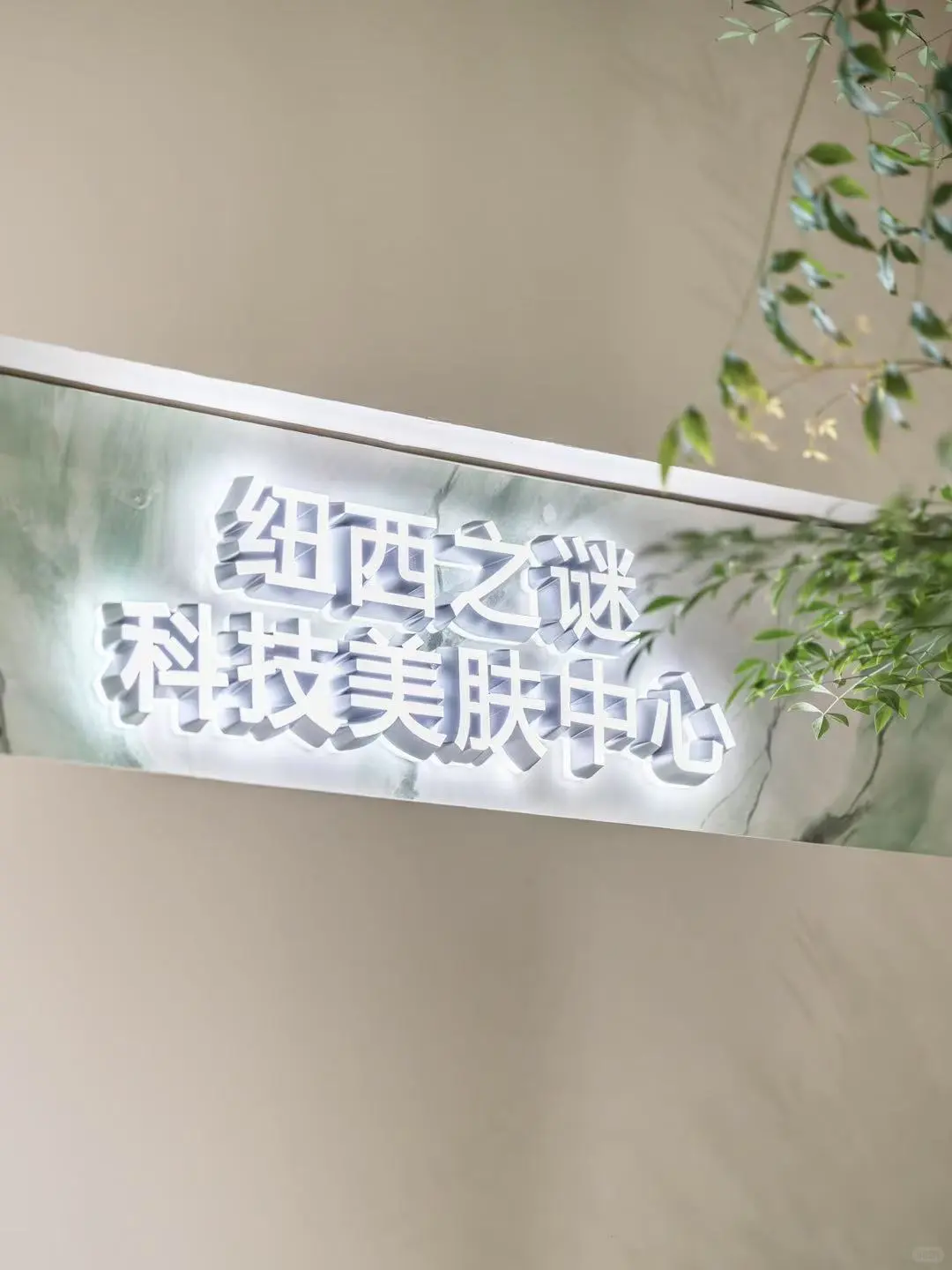 E人纽西之谜开店都有哪些支出