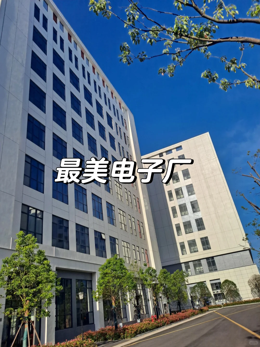急聘电子厂操作工，当天面试入职