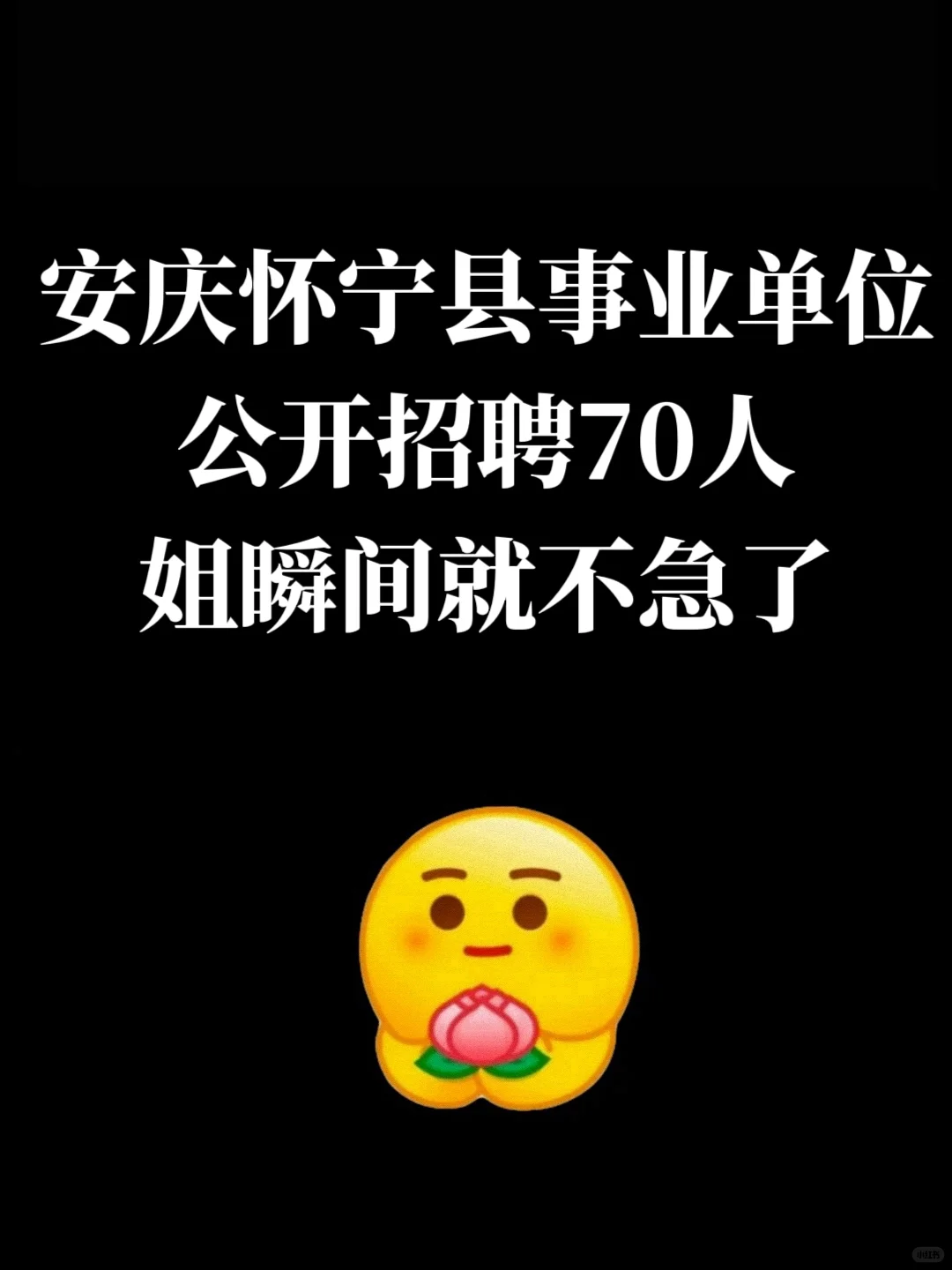 安庆怀宁县事业单位招聘，姐瞬间就不急了