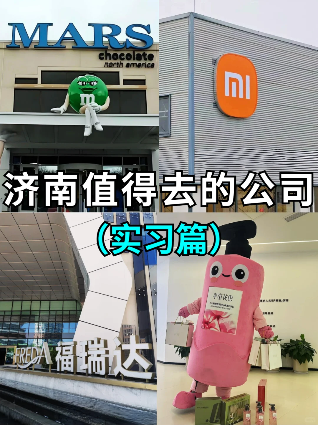 济南实习必投公司！待遇优厚可转正~