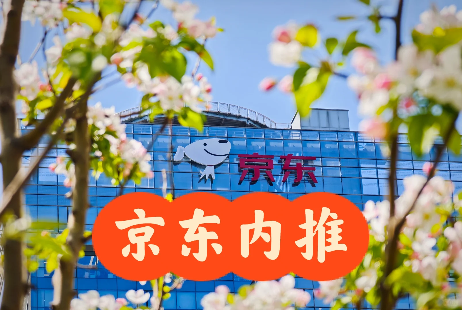 【京东内推】社招&校招