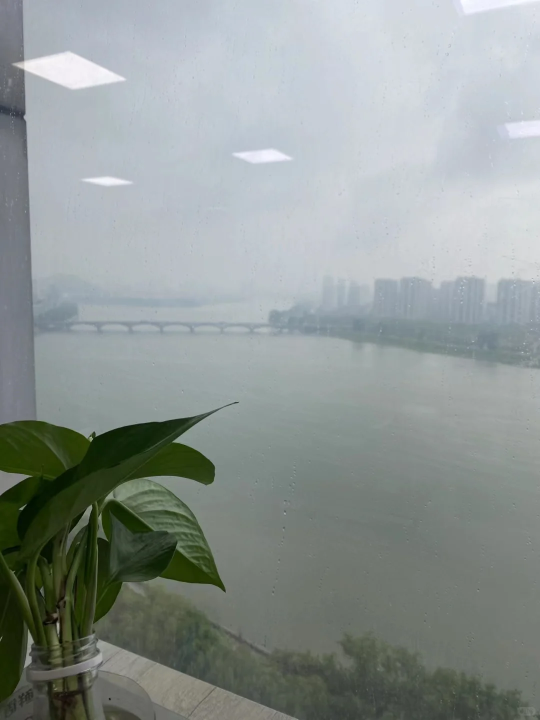 江西单位找人啦！有需要的留住脚步看看啊