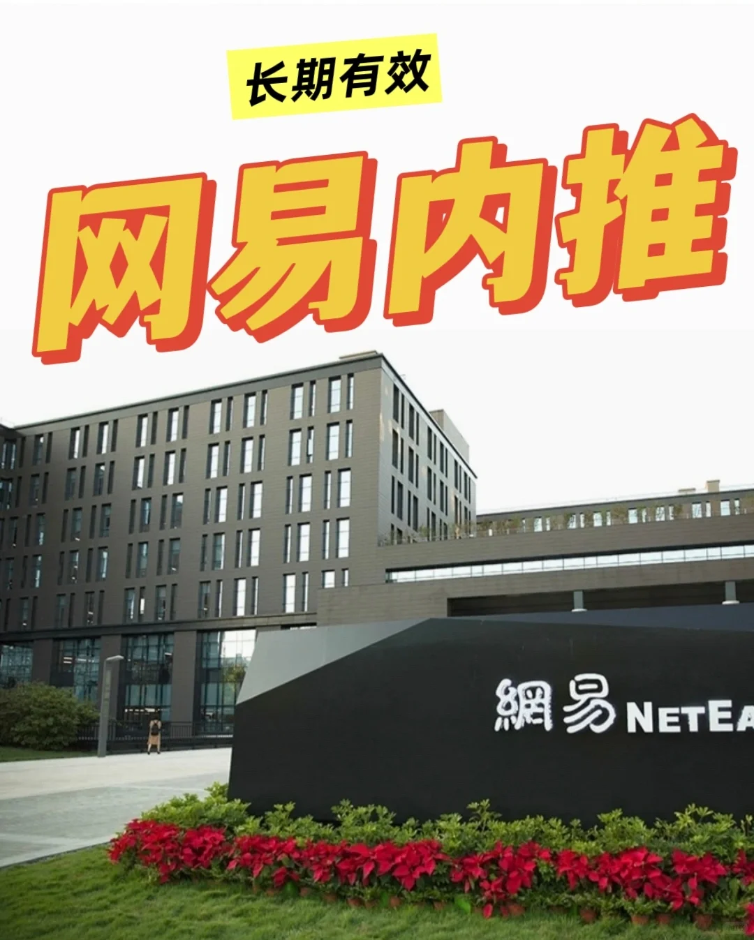 网易内推，网易内推，长期有效哈
