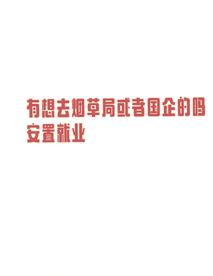 安置正式工作