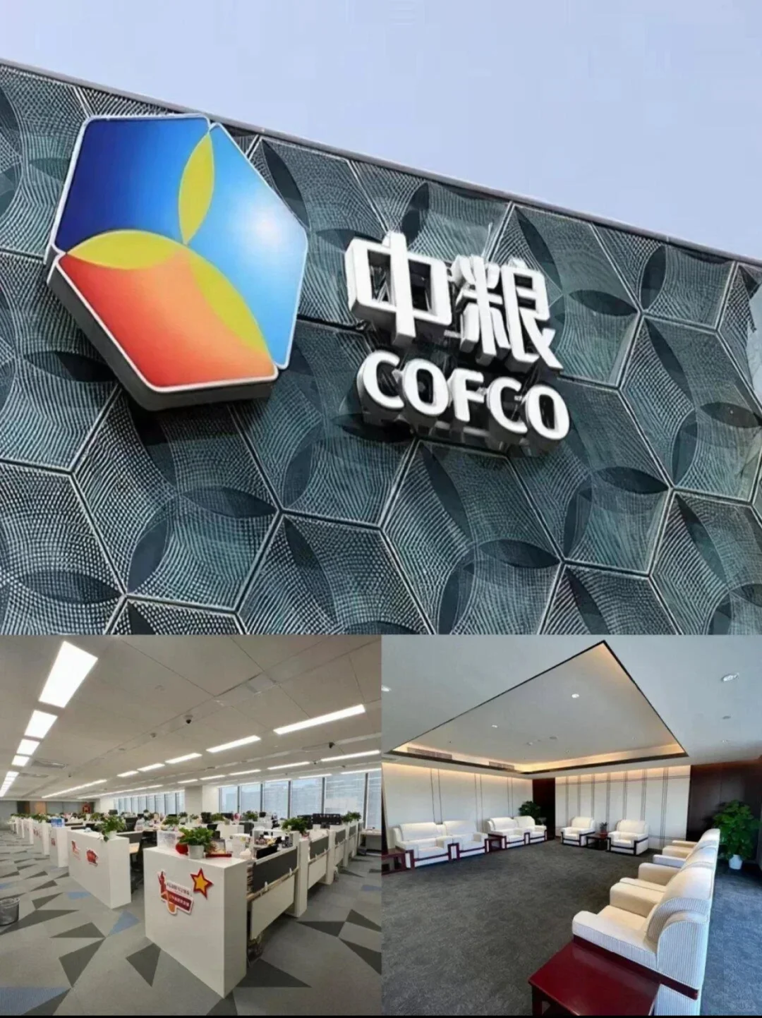 中粮集团，速投 ，不限专业！！！中粮集团，速投