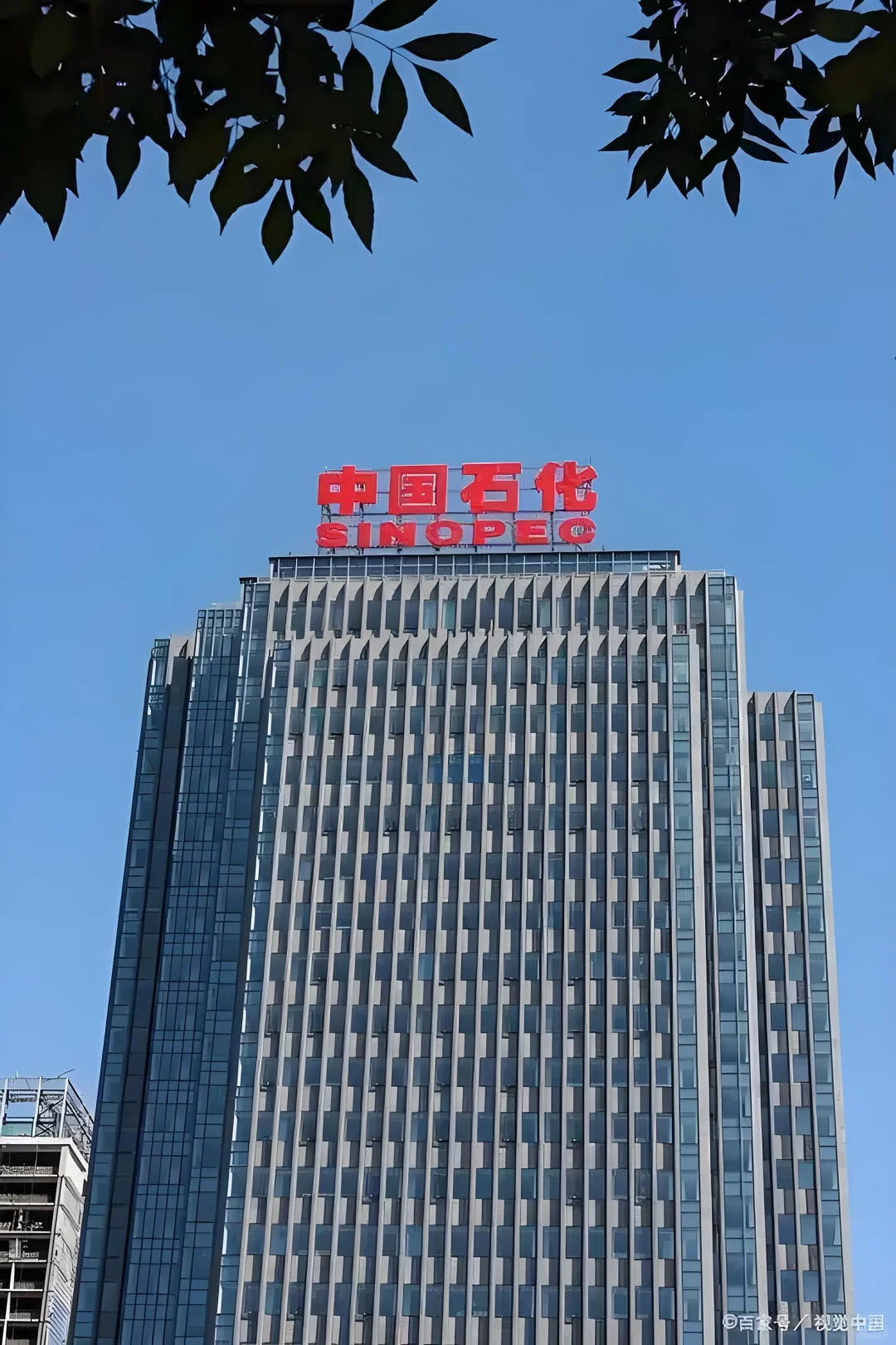 国企中石化招档案管理员！