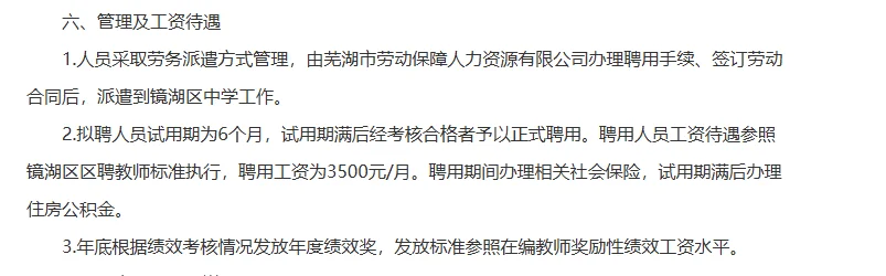 芜湖镜湖区编外聘中学教师25人