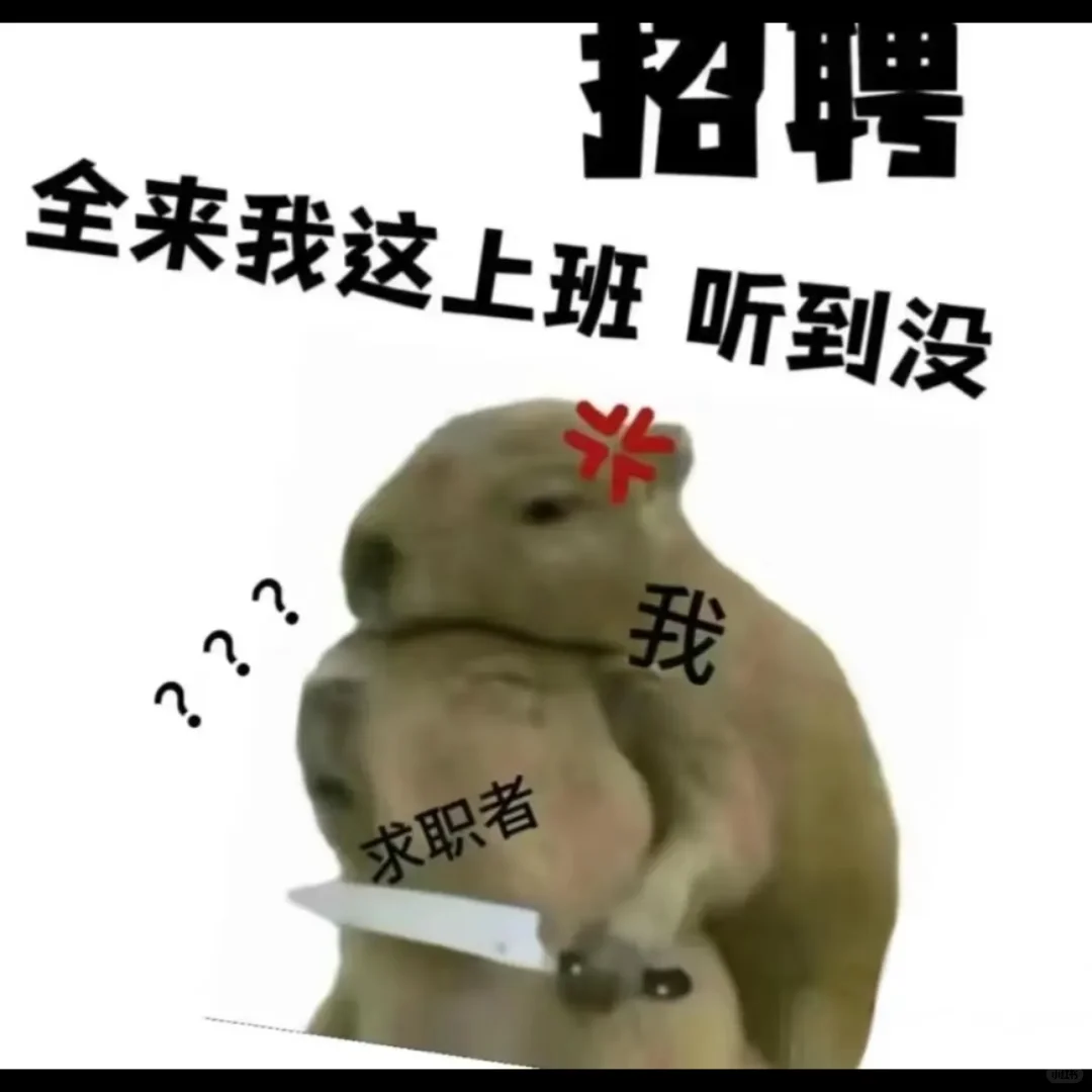 招人招人🌸