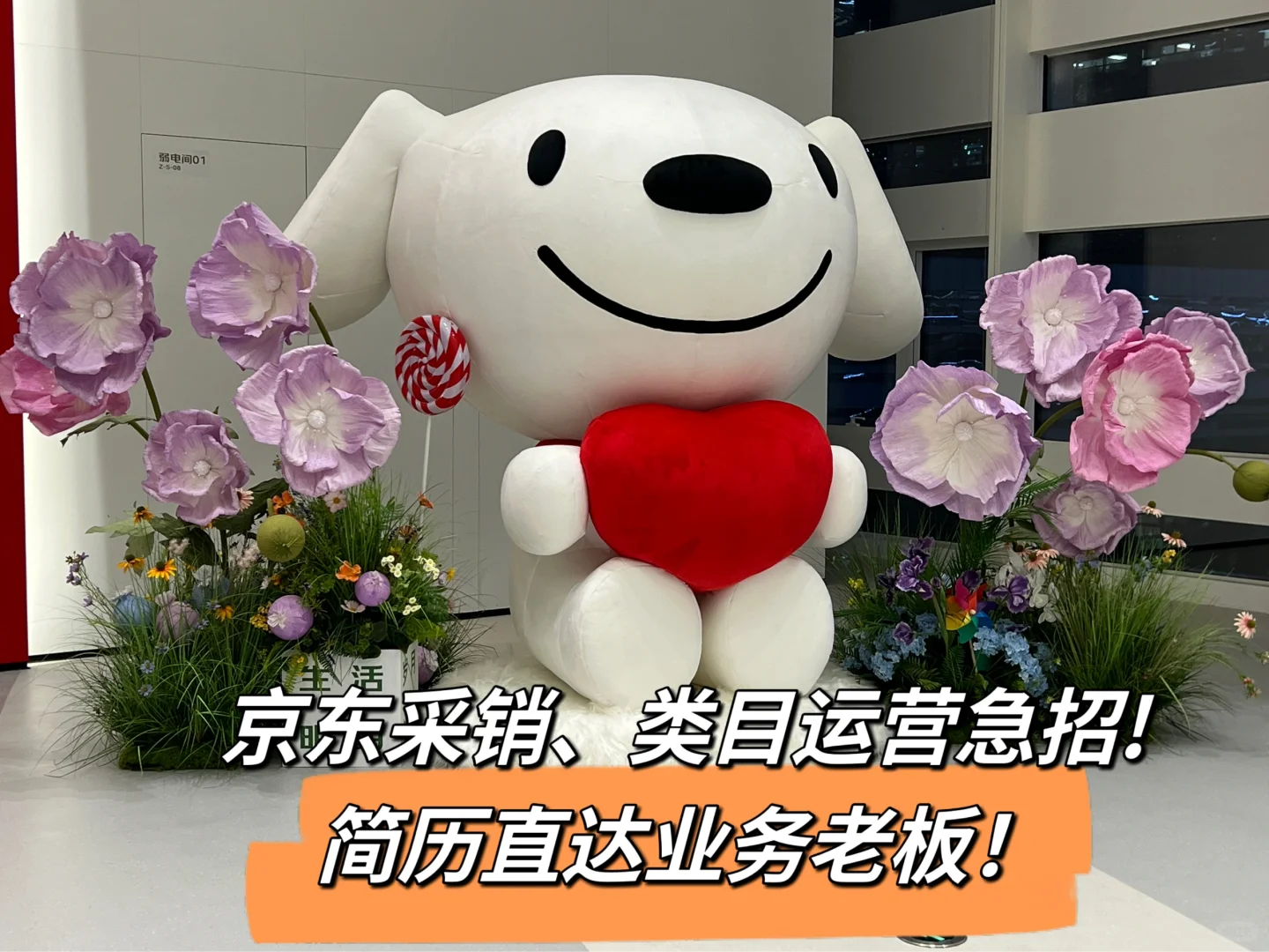 京东大厂招聘，有内幕！