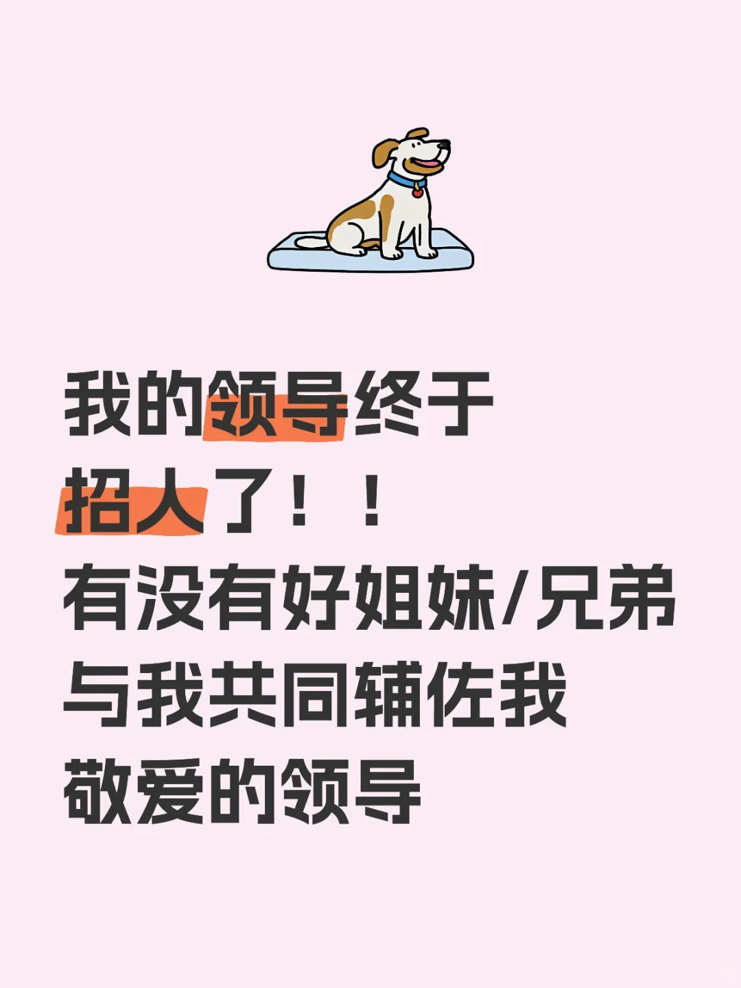 纯文职！！公司终于招人啦！！
