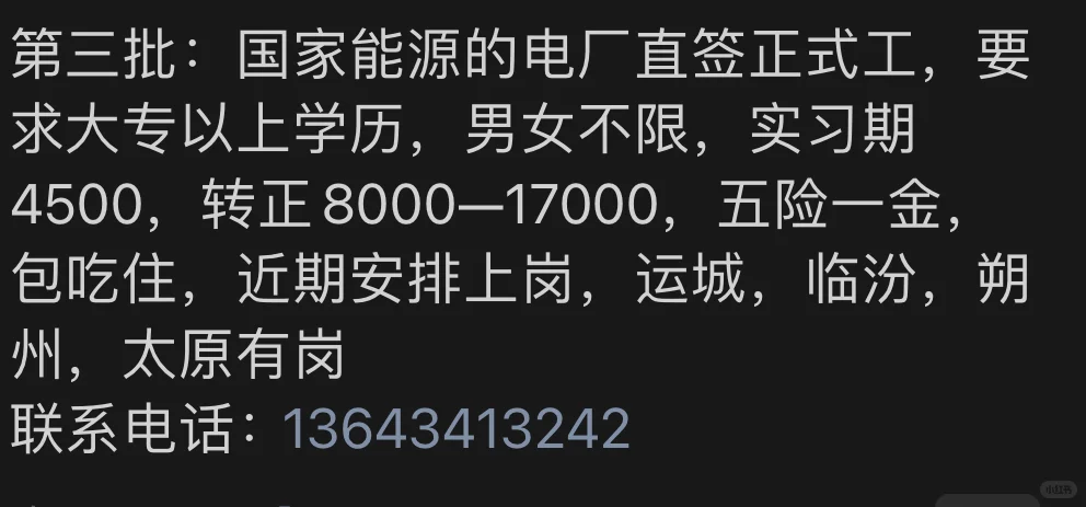 招工啦🎉