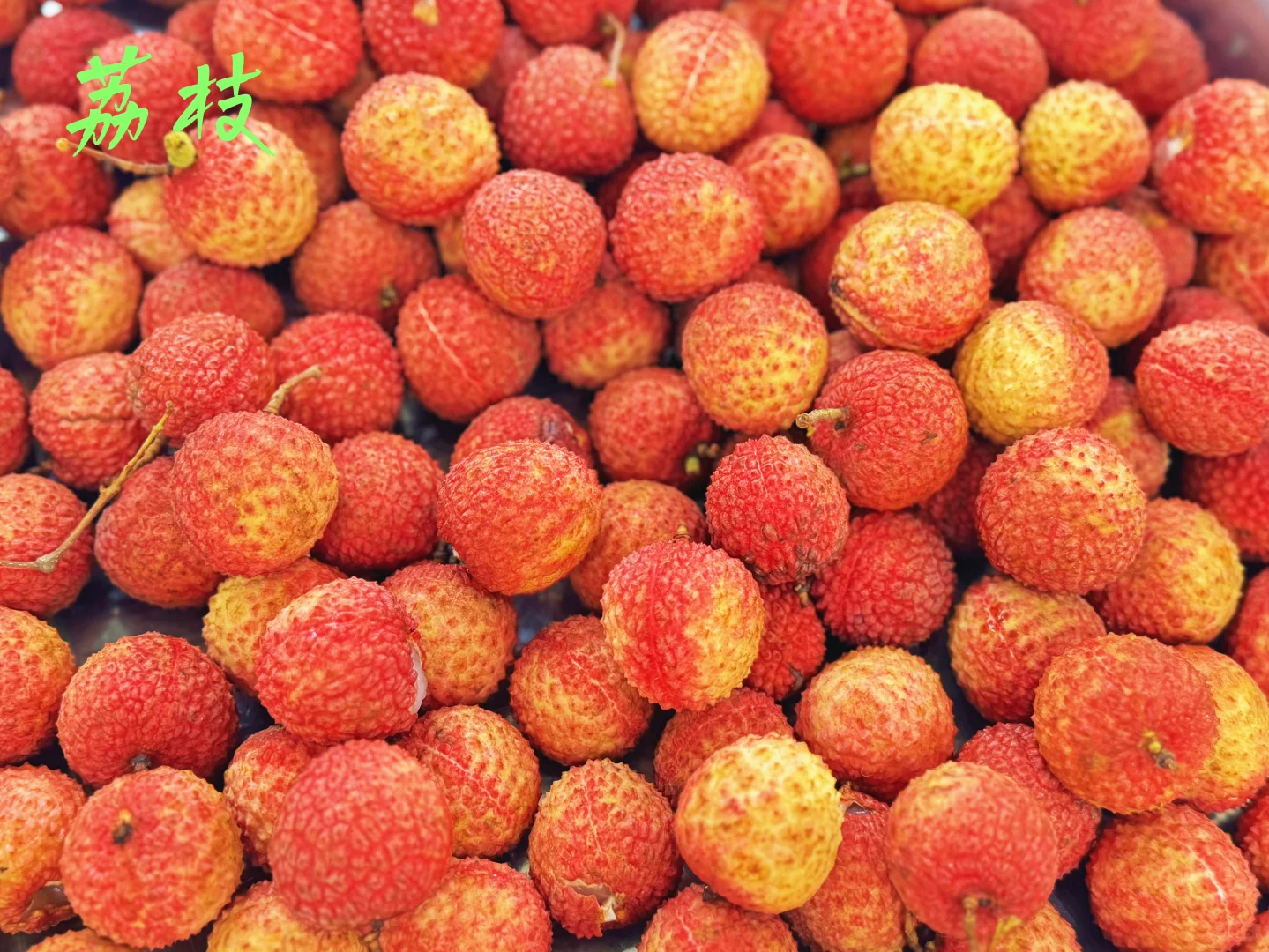 央企招聘-员工食堂洗碗工