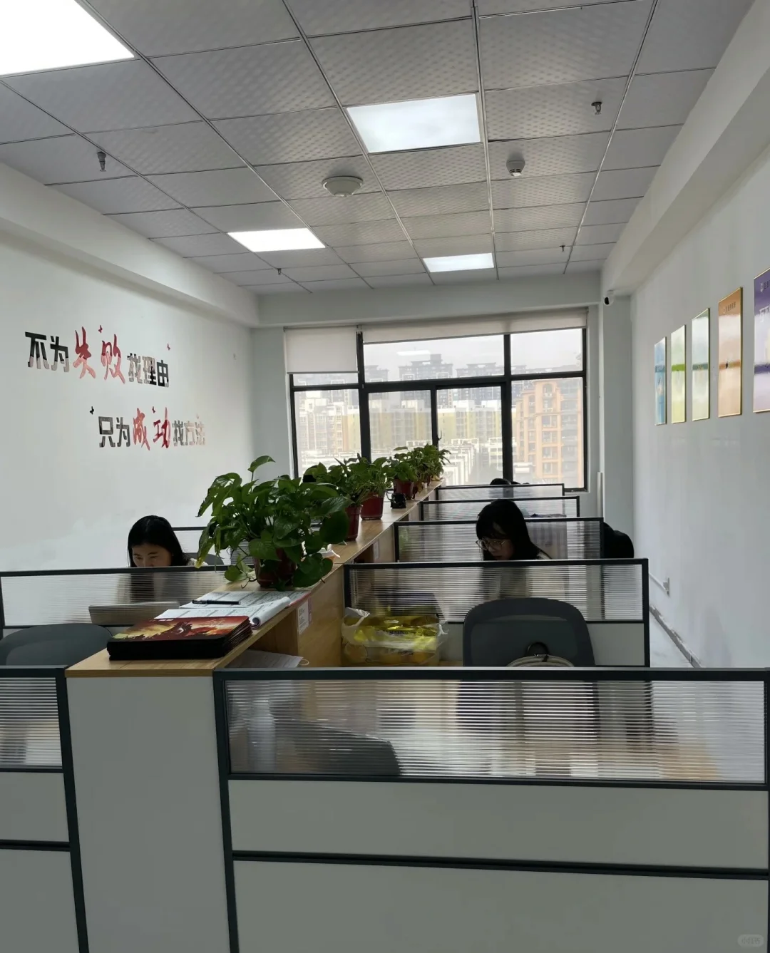 襄城县招聘文员了