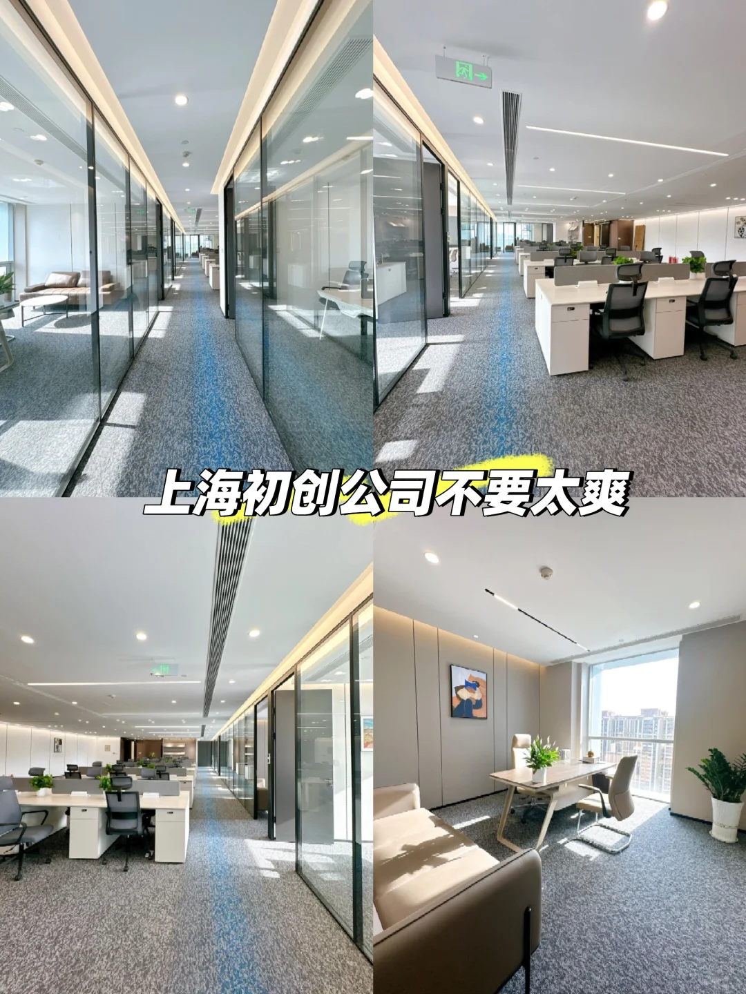 这家初创公司也太好了吧！