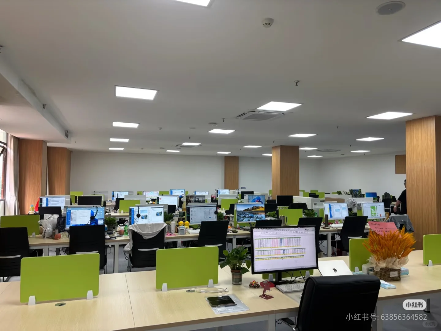 舒适办公环境，有志青年欢迎加入