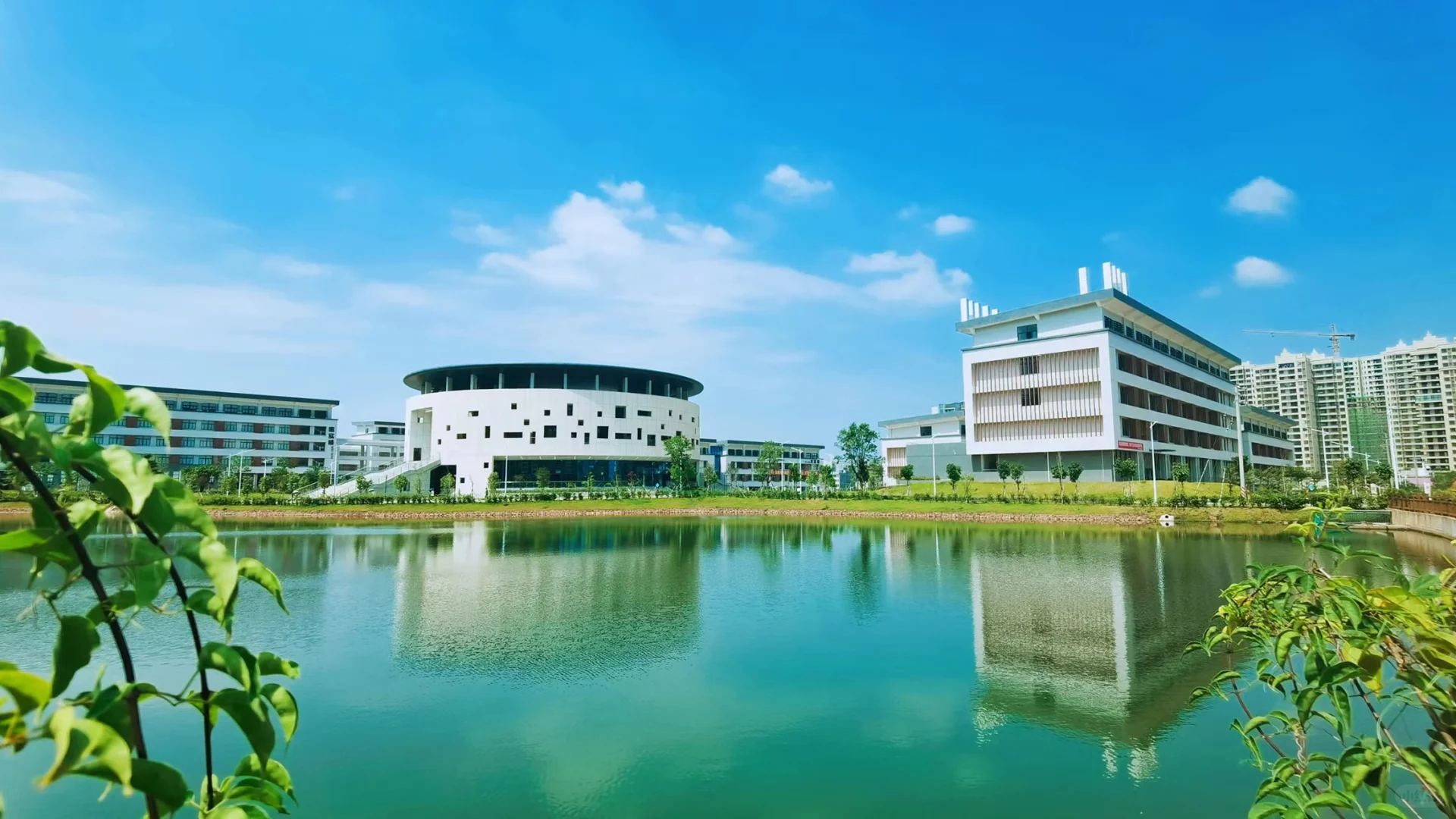 被校名耽误的实力大学！广技师真的超绝