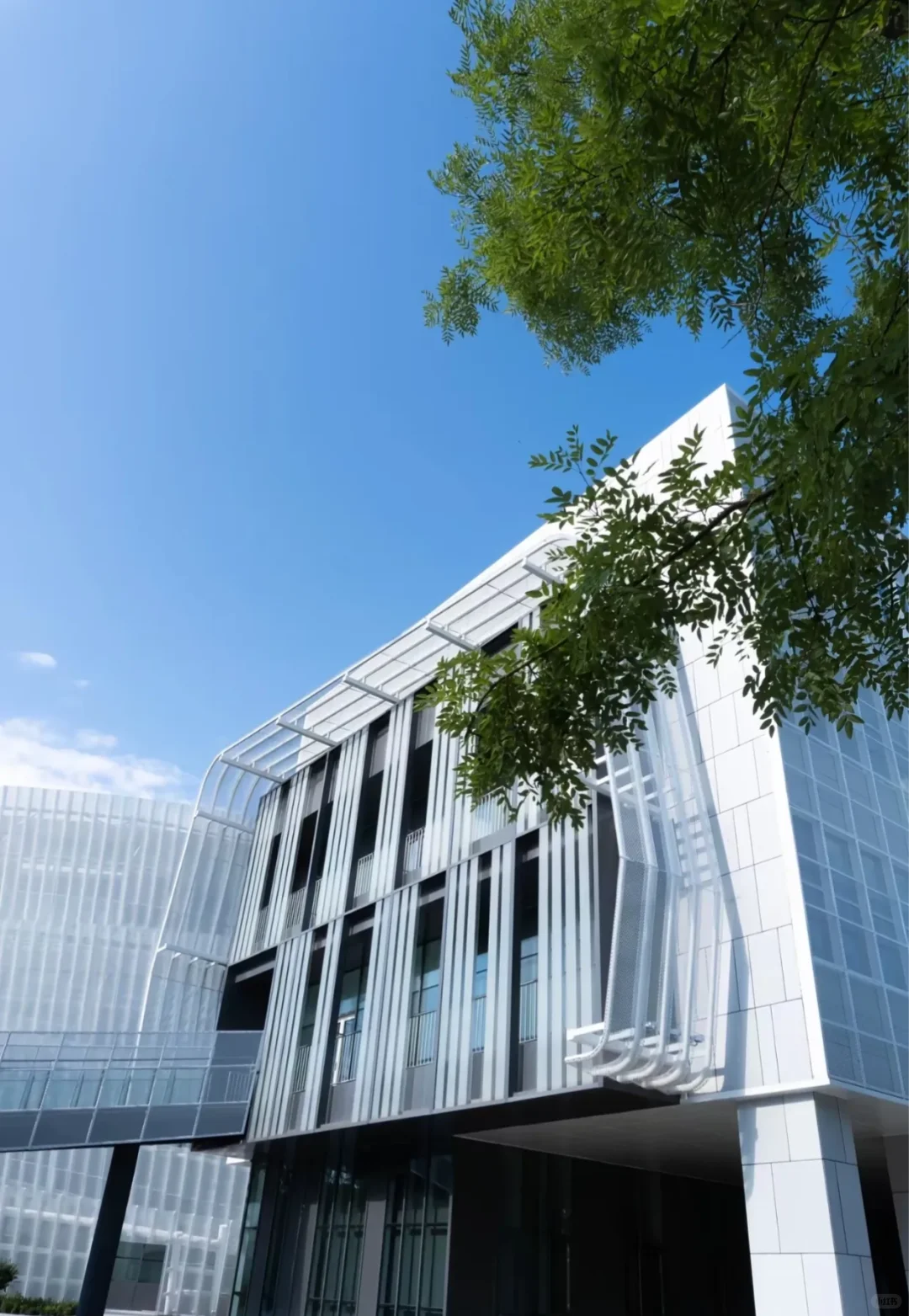 欢迎报考天津师范大学
