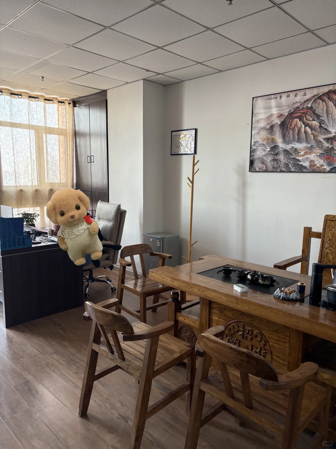 00后新公司招兵买马