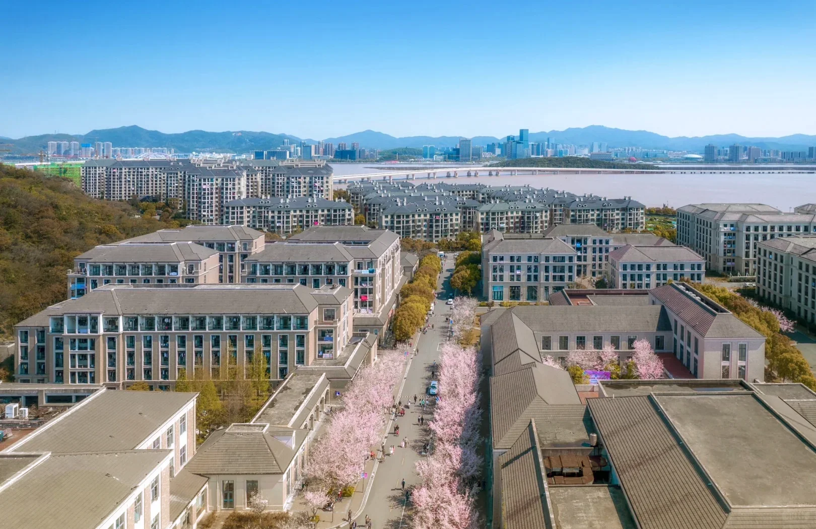选择浙江海洋大学的理由