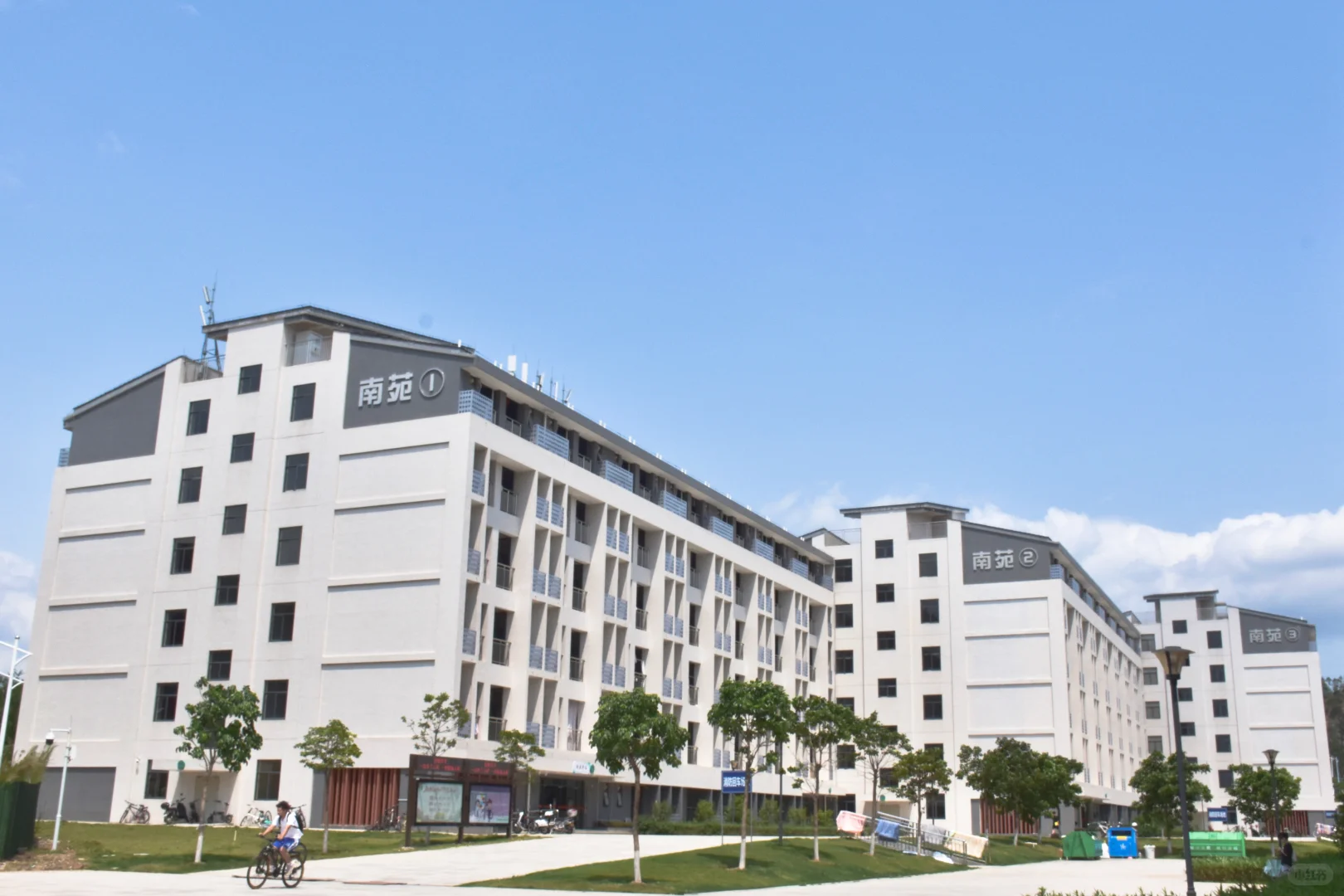 被校名耽误的实力大学！广技师真的超绝